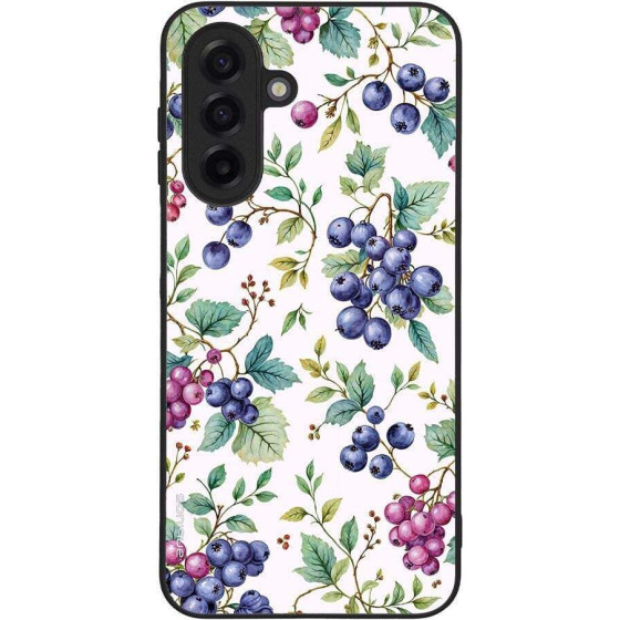 Sonique ���� Fruit Series ��� Samsung Galaxy A17 5G �������