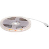 Activejet strip light Universal strip light Indoor - (AJE-COB 5m neut)
