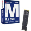 Biostar SSD M760 256GB - (SA122PME36)