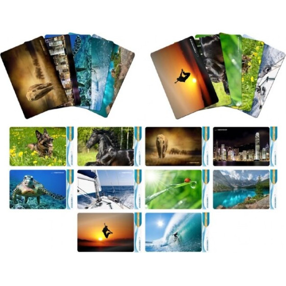Esperanza mouse pad Multicolor - (EA133)
