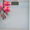Esperanza personal scale Electronic personal scale - (EBS010)