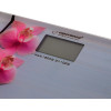 Esperanza personal scale Electronic personal scale - (EBS010)