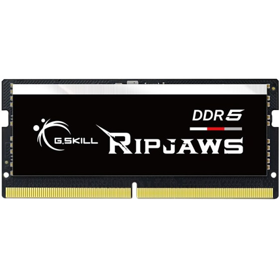 G.SKILL Ripjaws memory module 16 GB 1 x 16 GB DDR5 4800 MHz - (F5-4800S4039A16GX1-RS)