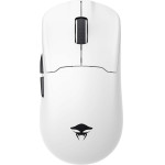 HAVIT - wireless gaming mouse, black and white - (StarBlaze-2)