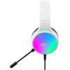 HAVIT H2043U - gaming headphones (black and white) - (H2043Ubw)