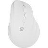 NATEC Crake 2 mouse Universal Right-hand RF Wireless + Bluetooth Optical 2400 DPI - (NMY-2257)