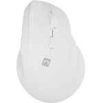 NATEC Crake 2 mouse Universal Right-hand RF Wireless + Bluetooth Optical 2400 DPI - (NMY-2257)