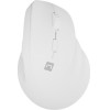 NATEC Crake 2 mouse Universal Right-hand RF Wireless + Bluetooth Optical 2400 DPI - (NMY-2257)