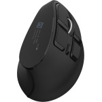 NATEC EUPHONIE PRO mouse Universal Right-hand Bluetooth Optical 4000 DPI - (NMY-2291)