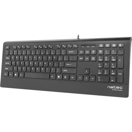 NATEC Multimedia Keyboard BARRACUDA slim USB, US layout, black - (NKL-0876)