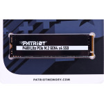 Patriot SSD Viper P400 Lite M.2 PCI-Ex4 NVMe 2000GB - (P400LP2KGM28H)