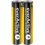 everActive Alkaline batteries Industrial Alkaline LR03 AAA - carton box - 40 pieces - (EVLR03S2IK)