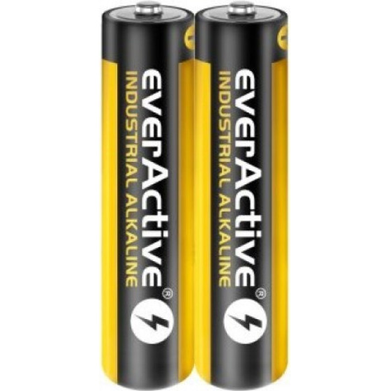 everActive Alkaline batteries Industrial Alkaline LR03 AAA - carton box - 40 pieces - (EVLR03S2IK)