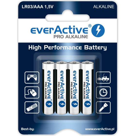 everActive Alkaline batteries Pro Alkaline LR6 AA - blister card - 4 pieces - (LR64BLPA)