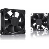 Noctua Computer Cooling Component Computer Case Fan 8 Cm Black - (NF-A8 Pwm CH.BK.S)