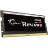 G.Skill Ripjaws Memory Module 16 Gb 1 x 16 Gb DDR5 - (F5-5600S4040A16GX1-RS)