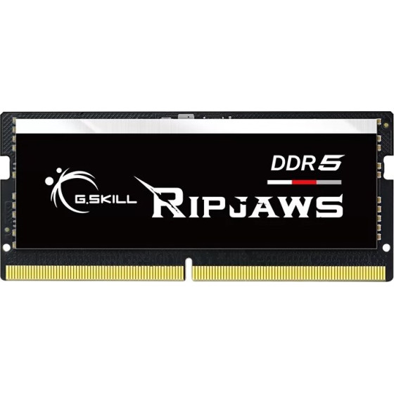 G.Skill Ripjaws Memory Module 16 Gb 1 x 16 Gb DDR5 - (F5-5600S4040A16GX1-RS)