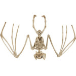Malatec Bat Skeleton - Decoration 30cm 22005 - (16898-0)
