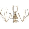 Malatec Bat Skeleton - Decoration 30cm 22005 - (16898-0)