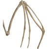 Malatec Bat Skeleton - Decoration 30cm 22005 - (16898-0)