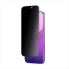 AmazingThing Radix Privacy Tempered Glass For Iphone 17 - (IP176.3PRCGLA)