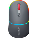 CANYON mouse MW-22 2in1 BT/ Wireless Dark Grey