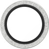 PanzerGlass Tempered glass lens protector Hoops Glitter do iPhone Air srebrny - (PG93710)