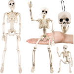 Ruhhy Skeleton - Decoration 40cm 26027 - (18446-0)