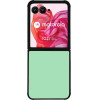 Sonique ���� Colorbloc Series ��� Motorola Motorola Razr 50 Ultra �������