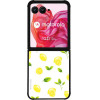 Sonique ���� Fruit Series ��� Motorola Motorola Razr 50 Ultra ������ 01