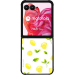 Sonique ���� Fruit Series ��� Motorola Motorola Razr 50 Ultra ������ 01