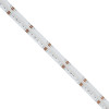 GloboStar Bee ������ Led 19.2W/m 2112lm/m 120� Dc 24V IP20 784 x Cob Chip/m ��������� RGB+Ww Dimmable - �500 x �1.2 x �0.2cm - ���� 5 ������ - 5 ������ ������� - (70354)