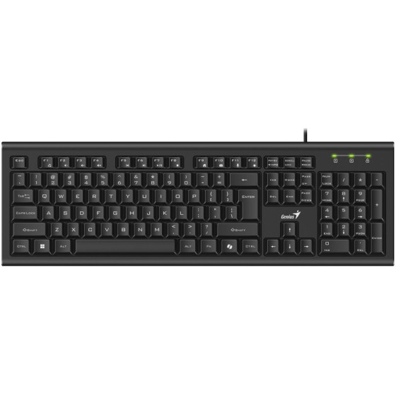 Genius KB-113/ wired/ Copilot/ USB/ black/ CZ+Sk Layout - (31300018403)