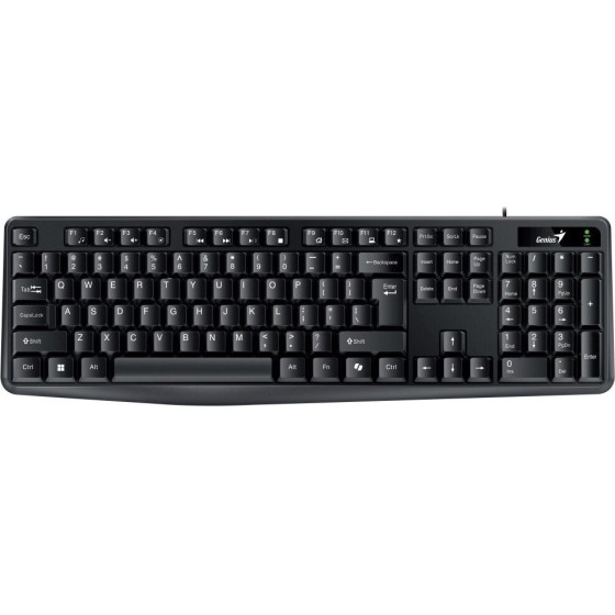 Genius KB-117/ wired/ Copilot/ USB/ black/ CZ+Sk Layout - (31310016415)