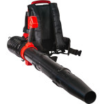 RAIDER R20 Solo ��������� ��������� 40V RDP-BBL20 - (075746)