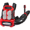 RAIDER R20 Solo ��������� ��������� 40V RDP-BBL20 - (075746)