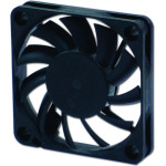 Evercool Fan 60x60x10 2Ball (4000 RPM) - (EC6010M12BA)
