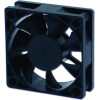 Evercool Fan 60x60x20 2Ball (4000 RPM) - (EC6020M12BA)