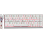 Madlions Professional Gaming Mechanical Keyboard MAD 68 HE RGB - 1K, Magnetic Amber Pro Switches - White - (MAD-68-HE-RGB-WH)