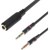 Makki Adapter 3.5mm 4pin F / 2 x 3.5mm M - -CBL-SP40 - (MAKKI-CBL-SP40)