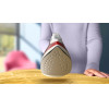 Philips 2000 Series Iron Steam Iron Non-Stick Soleplate Red, White - (DST2010/40)