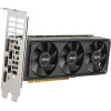 Asus Vga RTX5060-O8G-LP-BRK, 8GB, GDDR7, Low Profile - (90YV0N90-M0NA00)