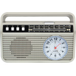 Setty Bluetooth Speaker With radioMD-500BT