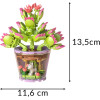 Iso Trade Construction blocks - flowers 172 pcs 26459 - (18530-0)