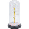 EXTRALINK Eternal Rose In Glass Home, White Led Light - (EX.24176)