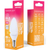 Forever Light Led Bulb E14 C37 2.2W 260lm 3000K Class E