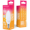 Forever Light Led Bulb E14 C37 4.8W 630lm 3000K Class E