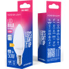 Forever Light Led Bulb E14 C37 4.8W 630lm 6000K Class E