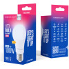 Forever Light Led Bulb E27 A60 12.8W 1520lm 6000K Class E