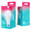 Forever Light Led Bulb E27 A65 17W 2100lm 4000K Class E